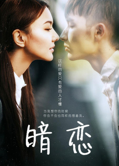 河南省高中毕业证查询